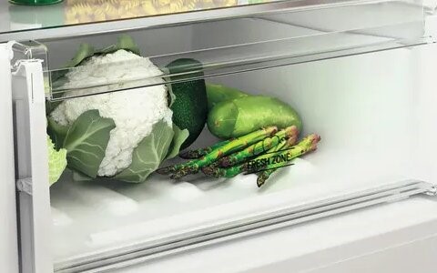 Fresh Zone